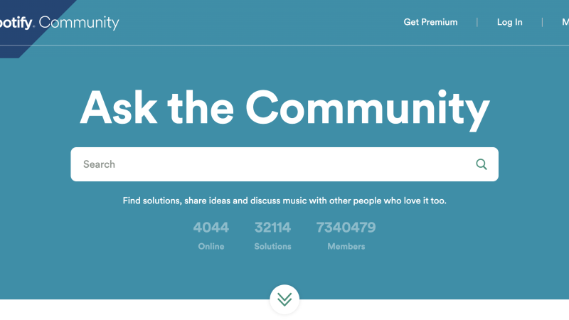 Micro-Branding for Niche Online Communities: The Art of Being a Big Fish in a Small Pond