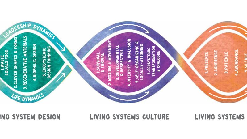 Implementing Regenerative Leadership: Moving Beyond Sustainability to Thrive