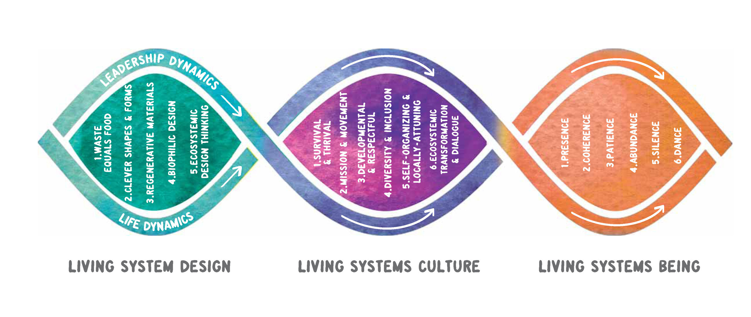 Implementing Regenerative Leadership: Moving Beyond Sustainability to Thrive