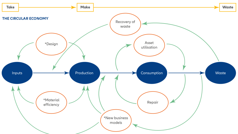 Marketing Strategies for Sustainable and Circular Economy Product Lines