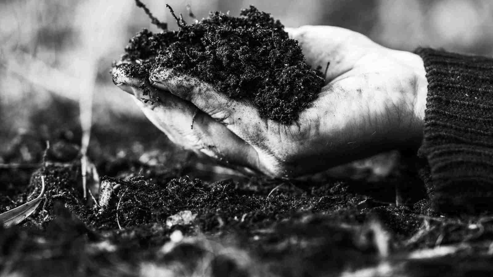 Creating a Regenerative Business That Gives Back More Than It Takes