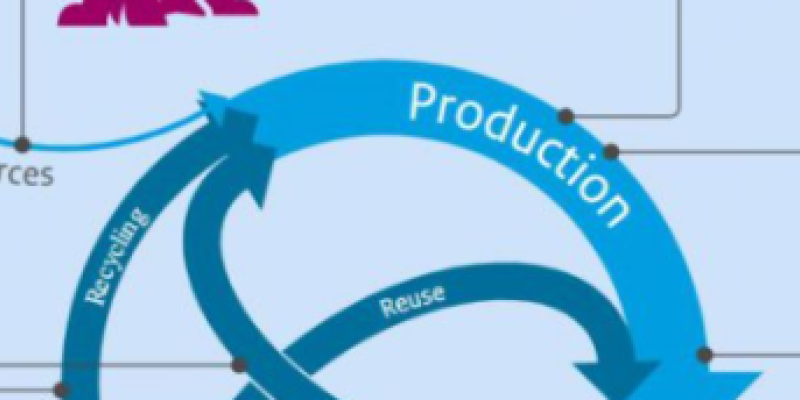 Beyond Sustainability: Implementing Regenerative Business Models for Long-Term Resilience