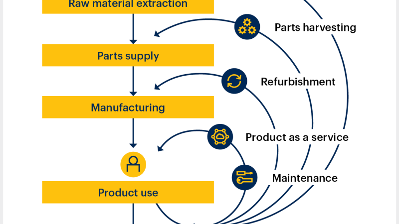 Building a Circular Economy Business Model From the Ground Up